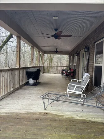 a view of a yard with trees