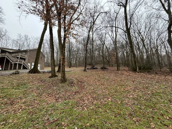 a backyard of a house with lots of green space