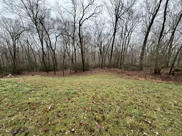 a backyard of a house with a trees