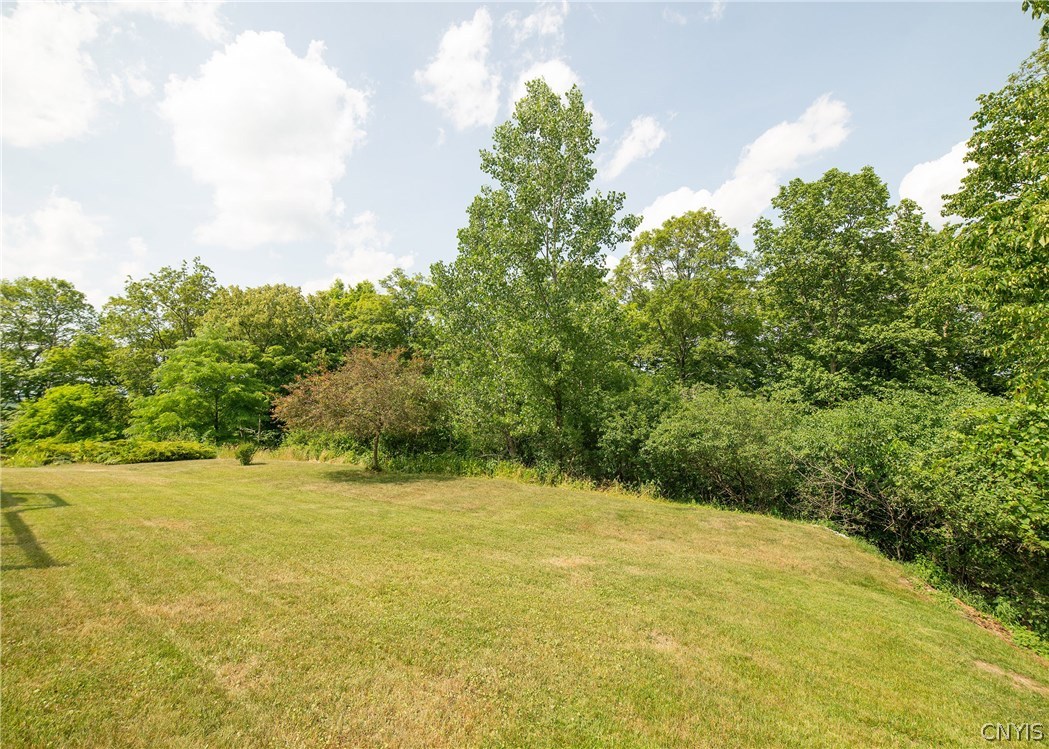 123 Peridot Drive Camillus, NY 13219 - Photo 10 of 36