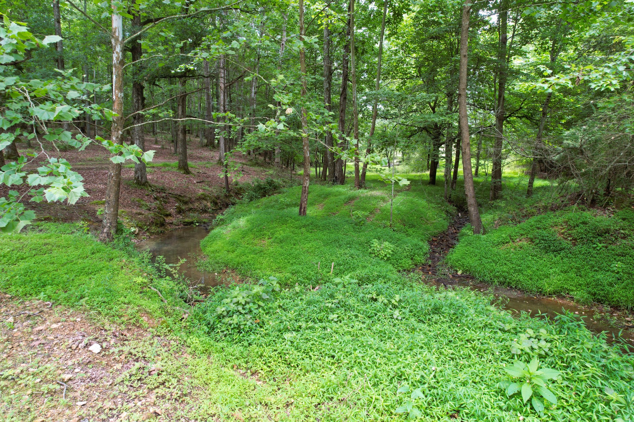 0 Crowder Road Lawrenceburg, TN 38464 - Photo 34 of 58