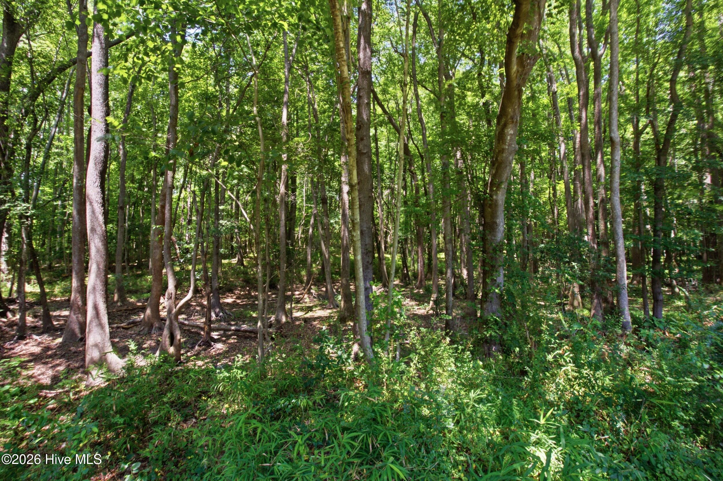 1228 Core Point Road Blounts Creek, NC 27814 - Photo 27 of 44