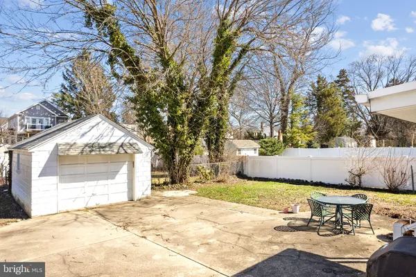 a view of a yard with plants and trees