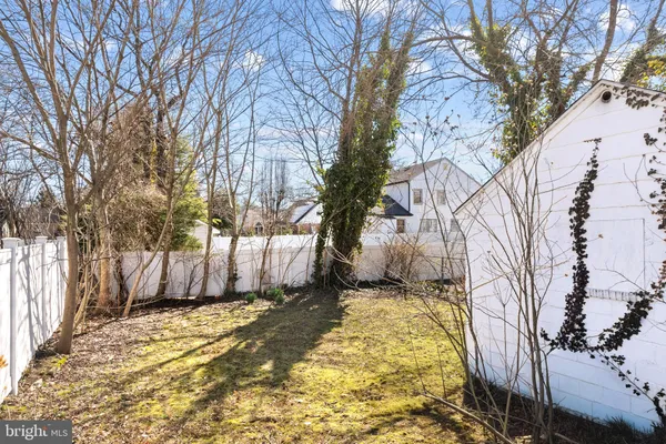a view of a yard with trees