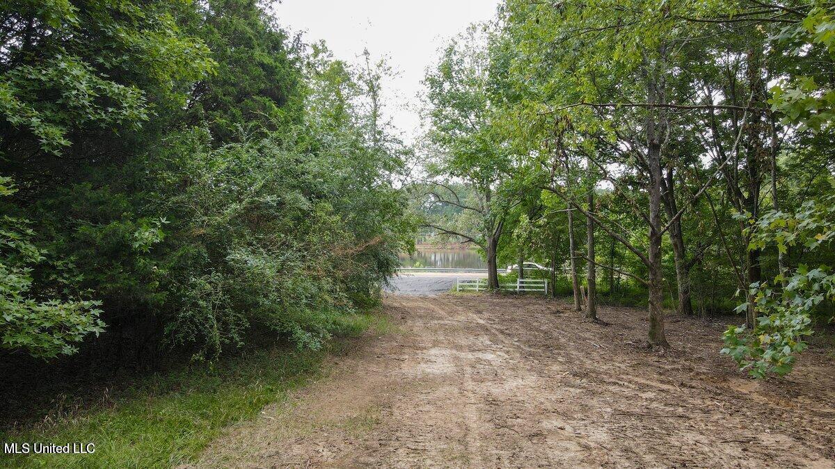 201 Country Club Road Senatobia, MS 38668 - Photo 20 of 24 20220824190213508711000000-o