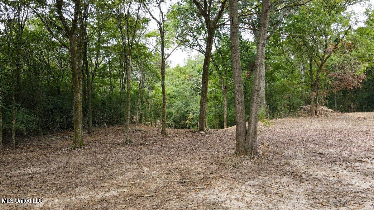 201 Country Club Road Senatobia, MS 38668 - Photo 3 of 24 20220824190248566317000000-o