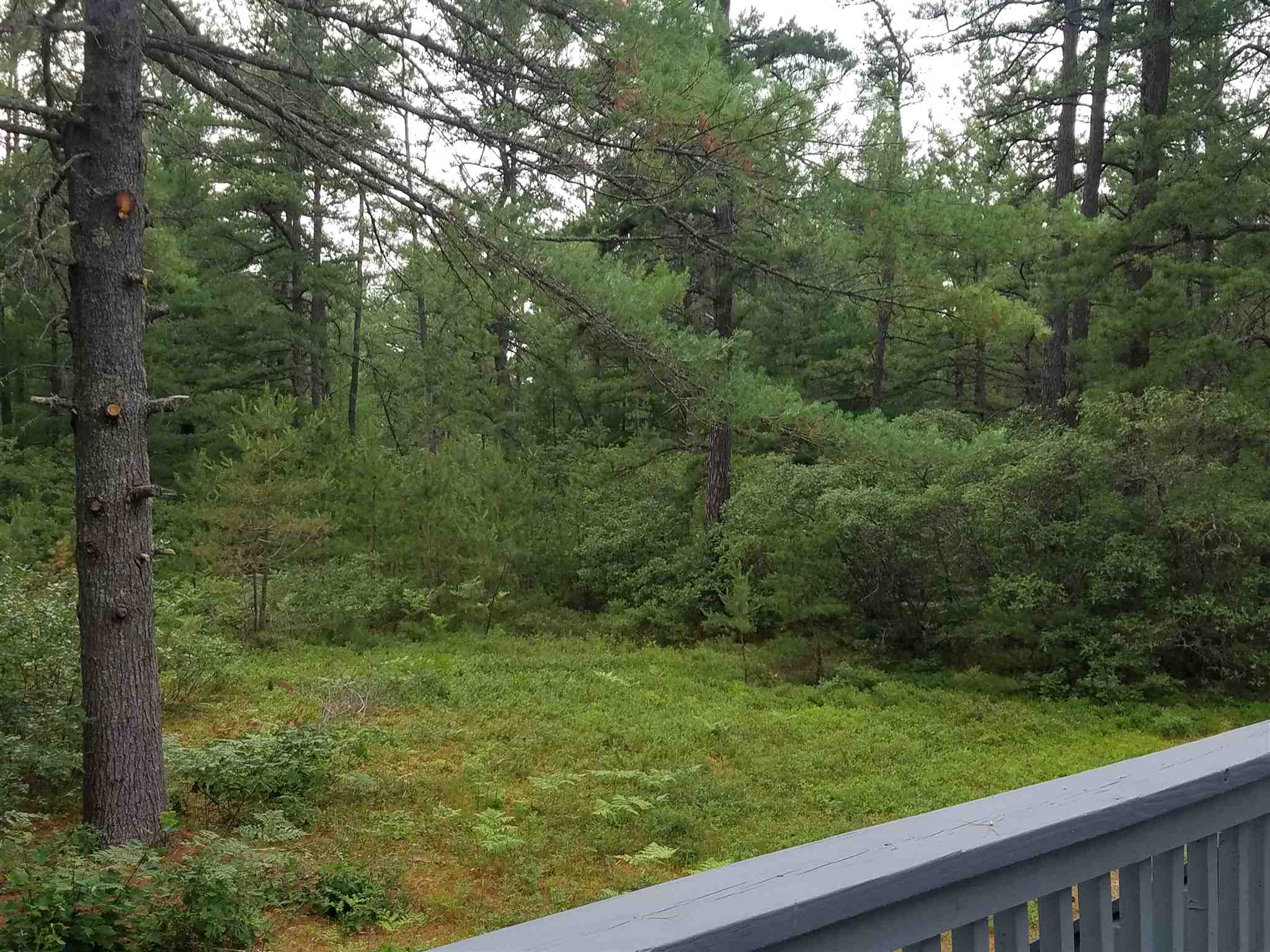 1564 Plains Road Madison, NH 03875 - Photo 36 of 40 Gallery Image 36