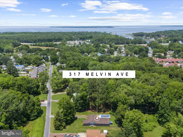 a view of a city with lush green forest