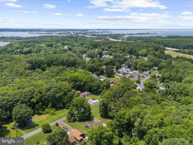 a view of a lake with a city