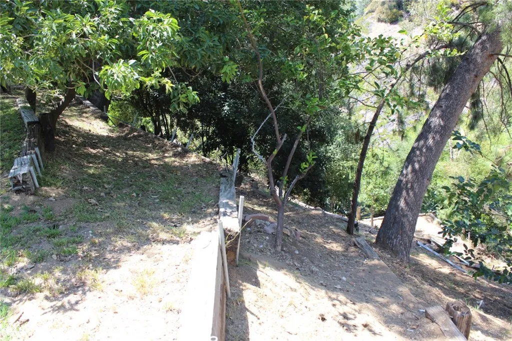 0 Woodcliffe Road Pasadena, CA 91105 - Photo 13 of 18 a view of a tree in the middle of a yard