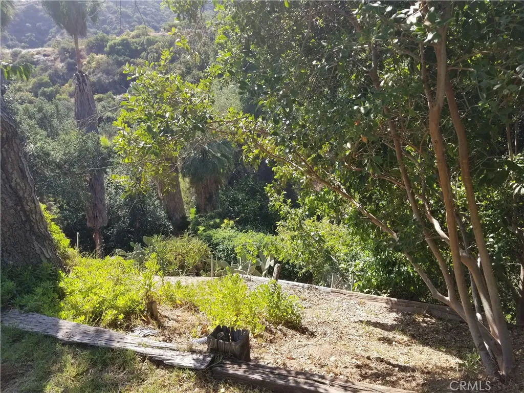 0 Woodcliffe Road Pasadena, CA 91105 - Photo 2 of 18 a view of a yard with plants