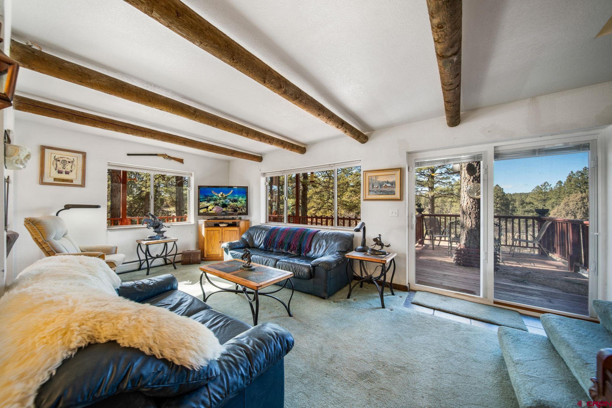 900 Spring Road Durango, CO 81303 - Photo 3 of 33 a living room with furniture and a floor to ceiling window