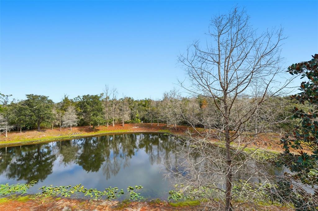 9024 White Sage Loop Lakewood Ranch, FL 34202 - Photo 31 of 71