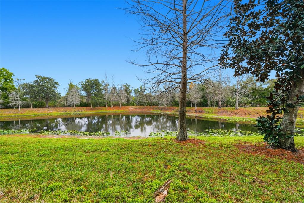 9024 White Sage Loop Lakewood Ranch, FL 34202 - Photo 47 of 71