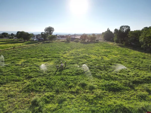 a view of a field of grass and trees