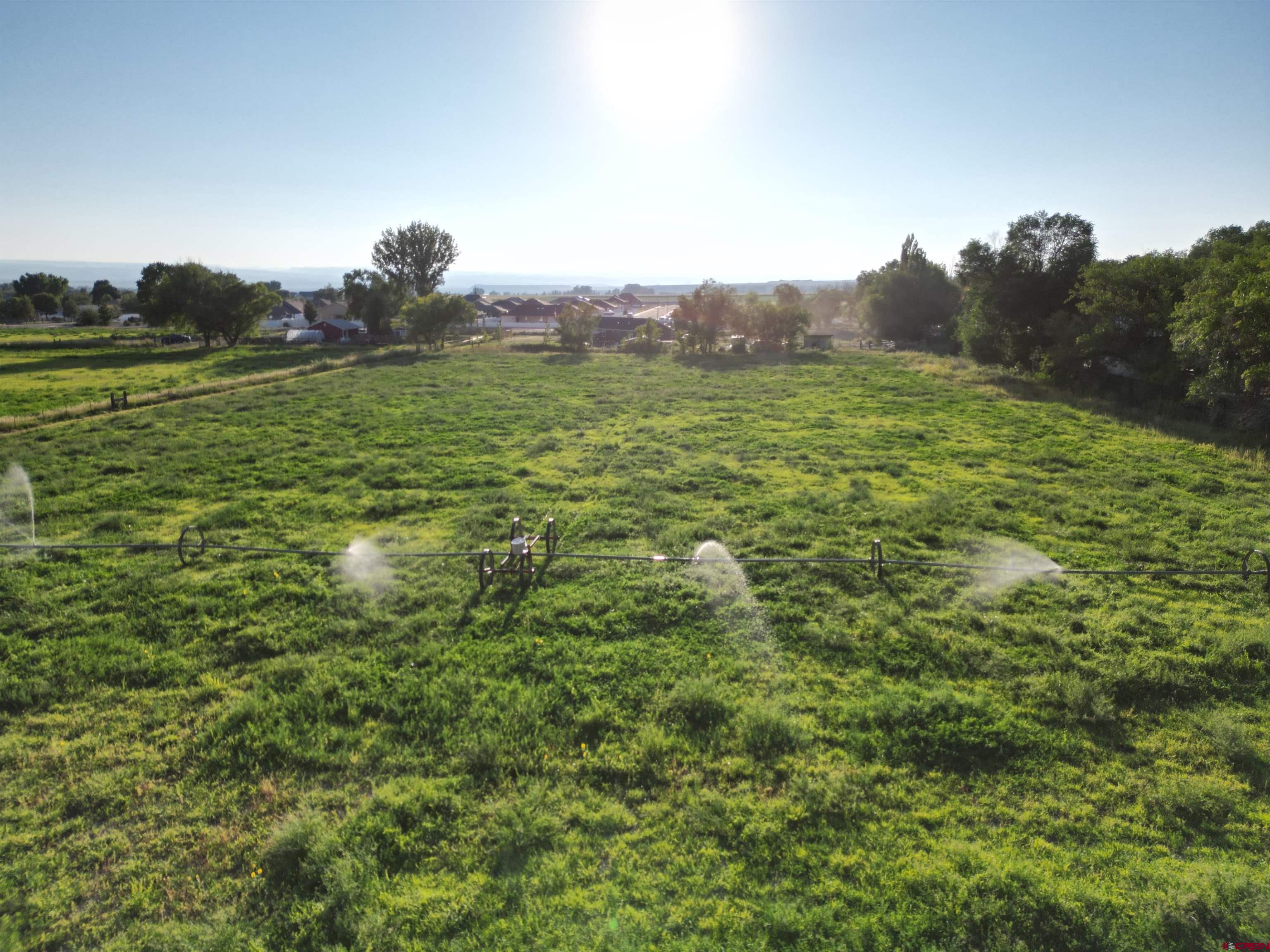 808 1525th Road Delta, CO 81416 - Photo 20 of 43 a view of a field of grass and trees
