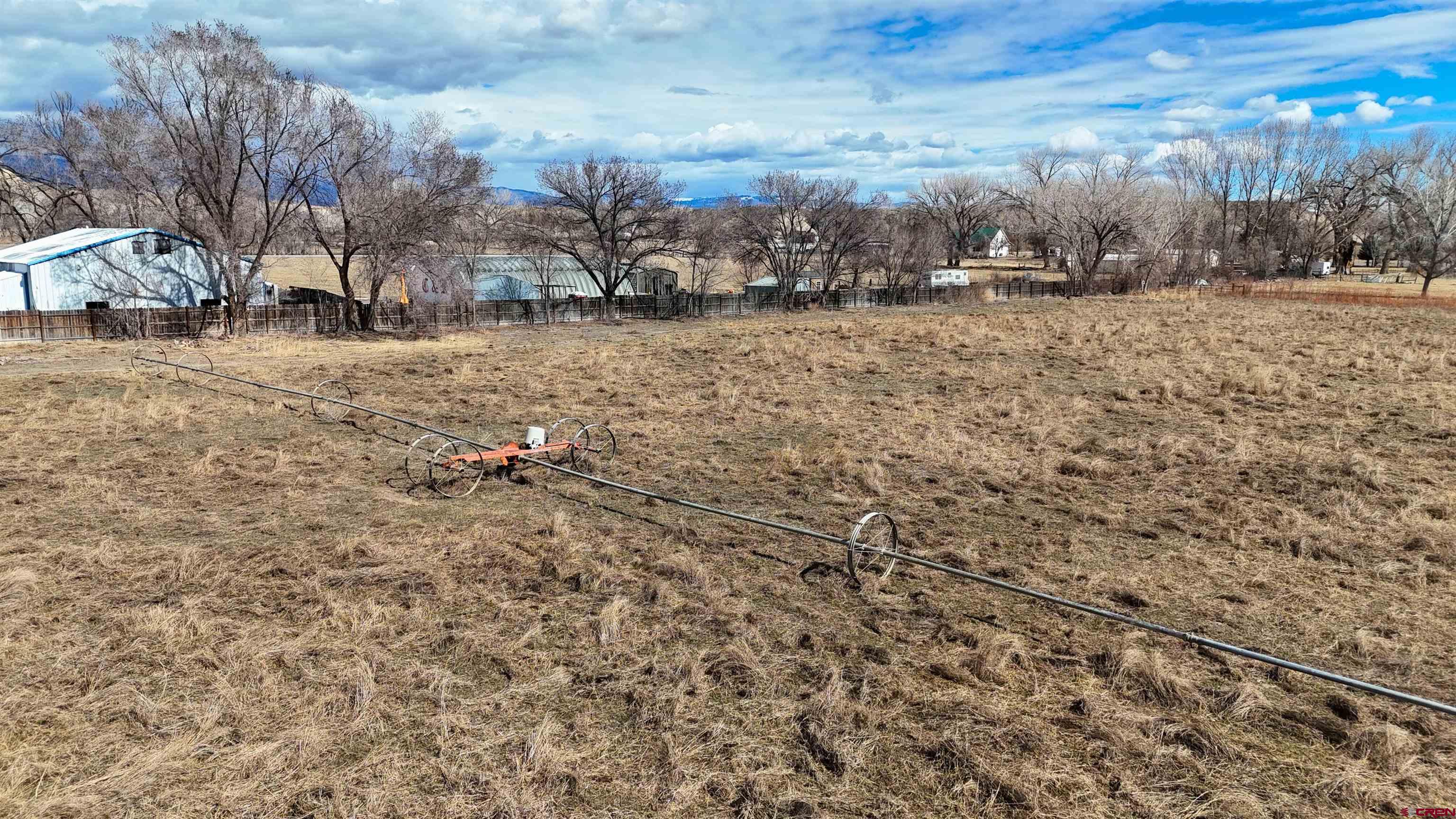 808 1525th Road Delta, CO 81416 - Photo 41 of 43 a view of a dry yard with trees