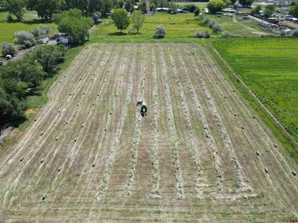 a view of yard with outdoor space