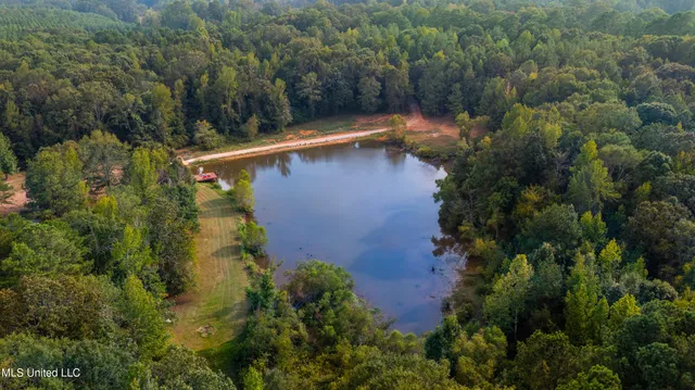 $499,900 | 3011 Crowder Creek Road, Carthage, MS 39051