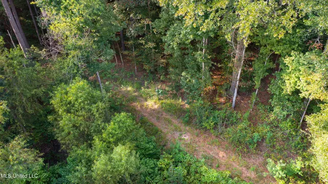 $499,900 | 3011 Crowder Creek Road, Carthage, MS 39051