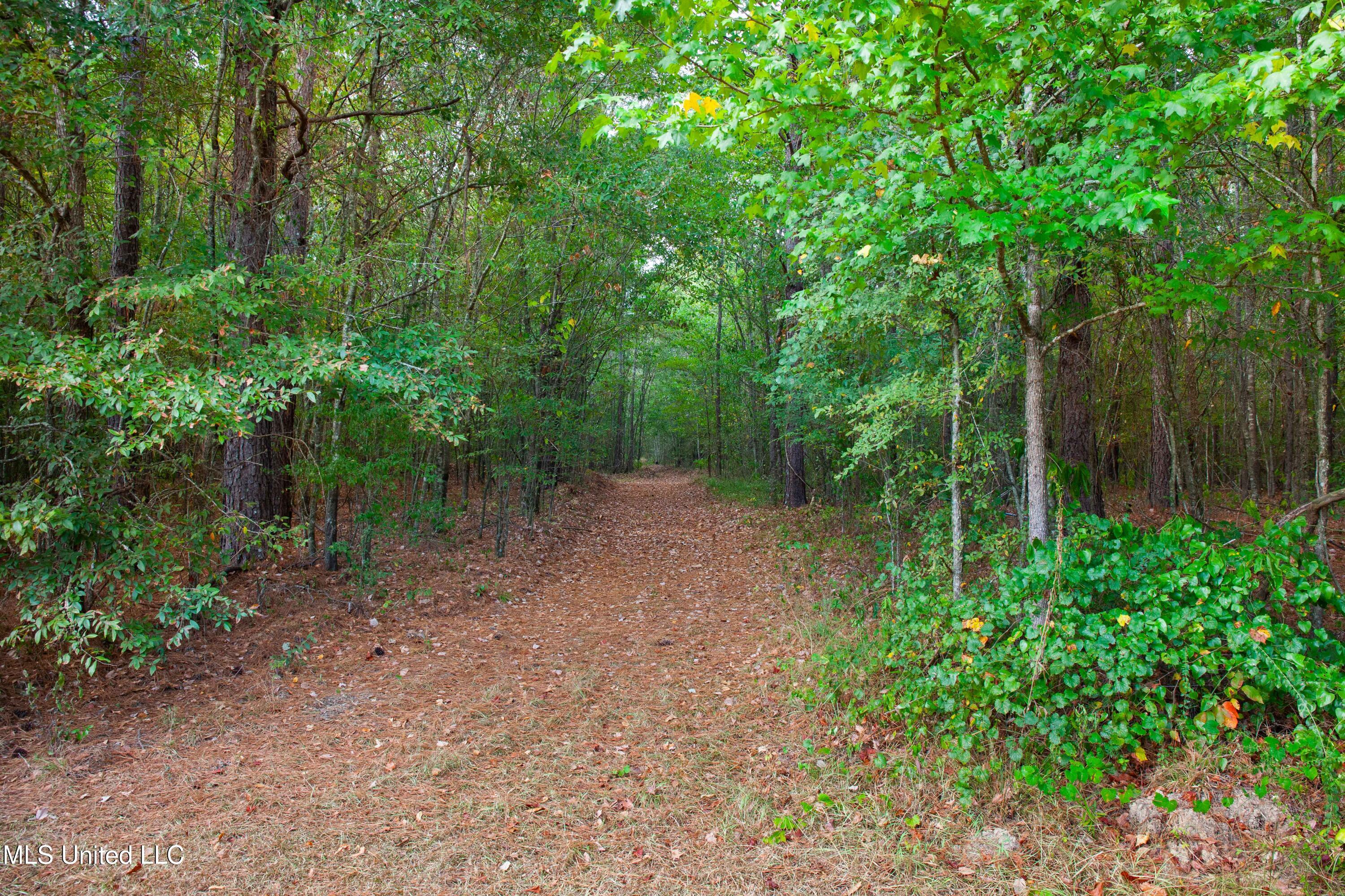 3011 Crowder Creek Road Carthage, MS 39051 - Photo 20 of 103 cabins2023-82