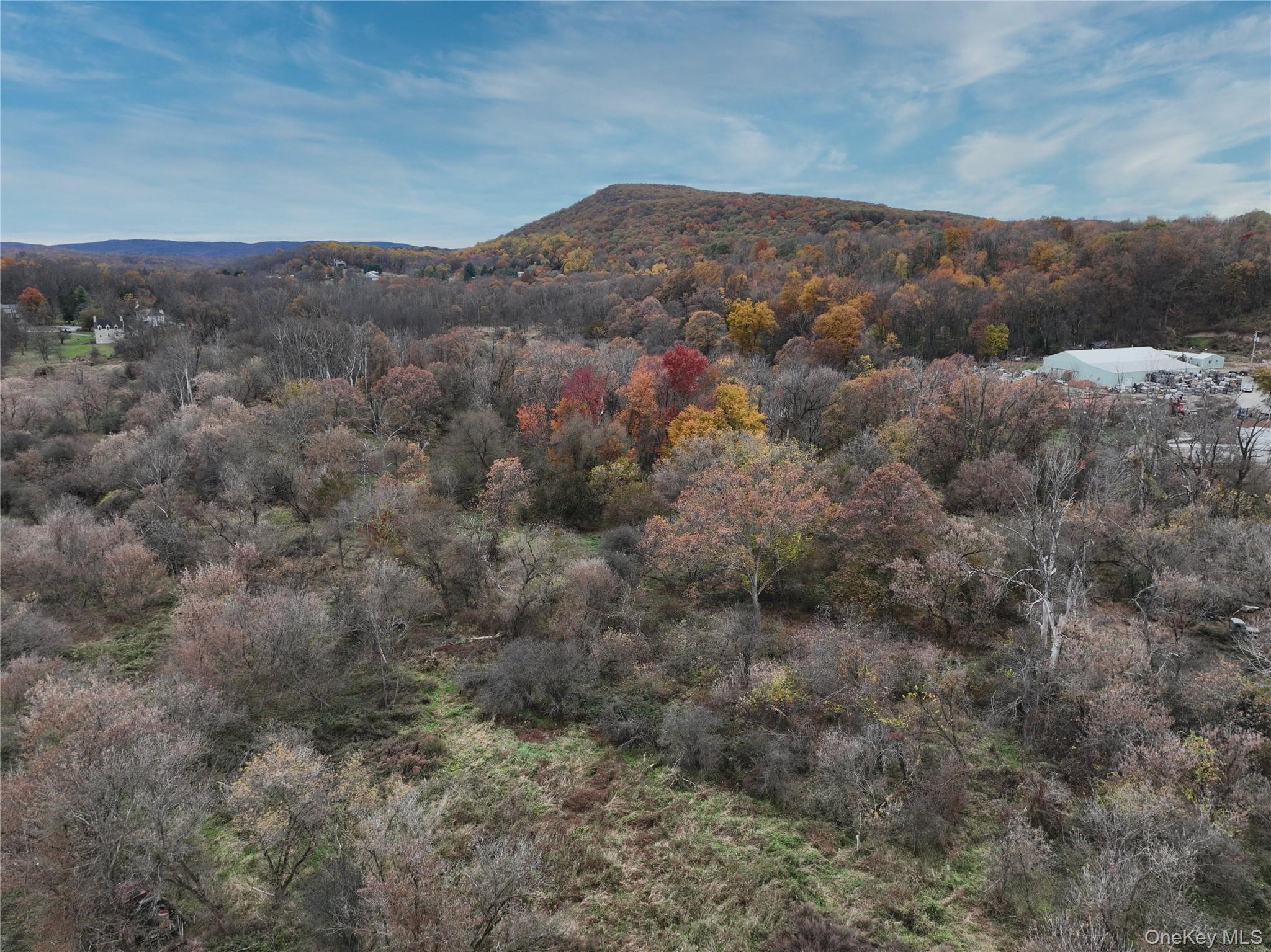 140 Round Hill Road Florida, NY 10921 - Photo 1 of 1 View of mountain backdrop