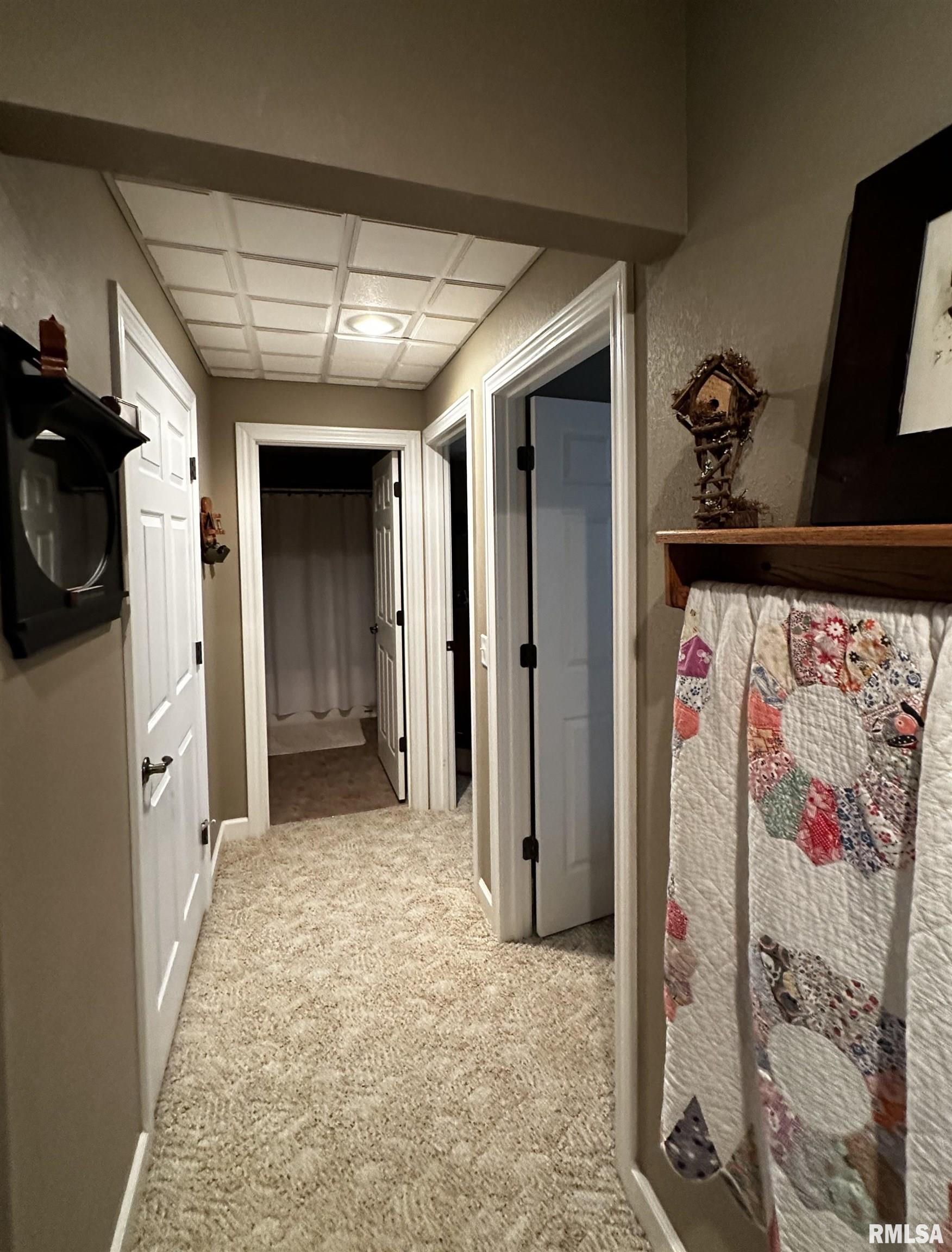 1722 Ullman Road Centralia, IL 62801 - Photo 79 of 91