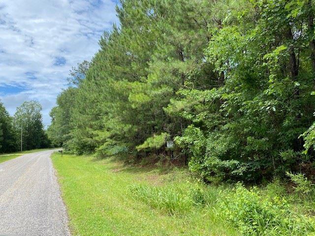 0 Hank Williams Road McKenzie, AL 36456 - Photo 1 of 6