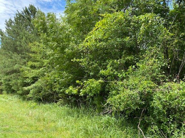 0 Hank Williams Road McKenzie, AL 36456 - Photo 3 of 6