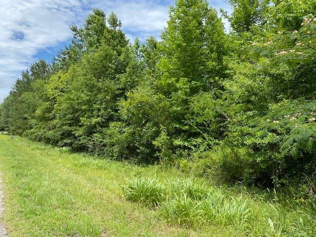 0 Hank Williams Road McKenzie, AL 36456 - Photo 4 of 6