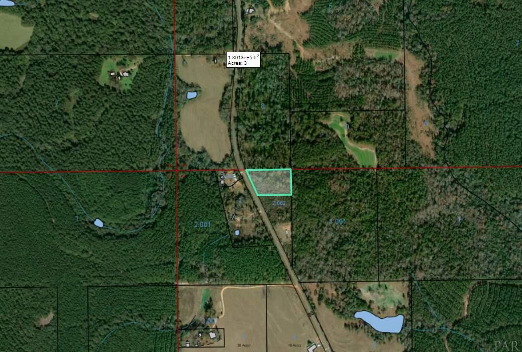 0 Hank Williams Road McKenzie, AL 36456 - Photo 5 of 6