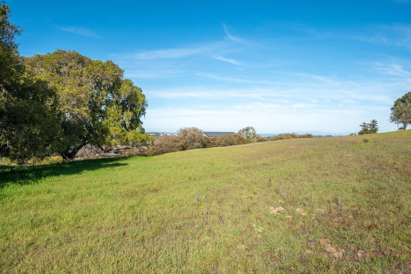 8375 Monterra Views Monterey, CA 93940 - Photo 2 of 13 a view of a large body of water with a large tree