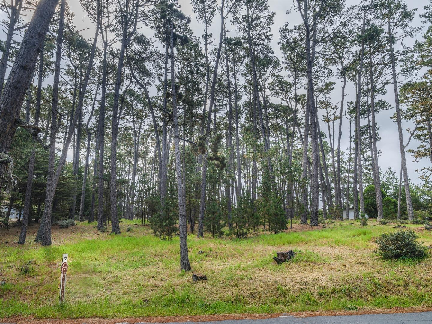 4019 Sunridge Road Pebble Beach, CA 93953 - Photo 3 of 18 Gallery Image 3