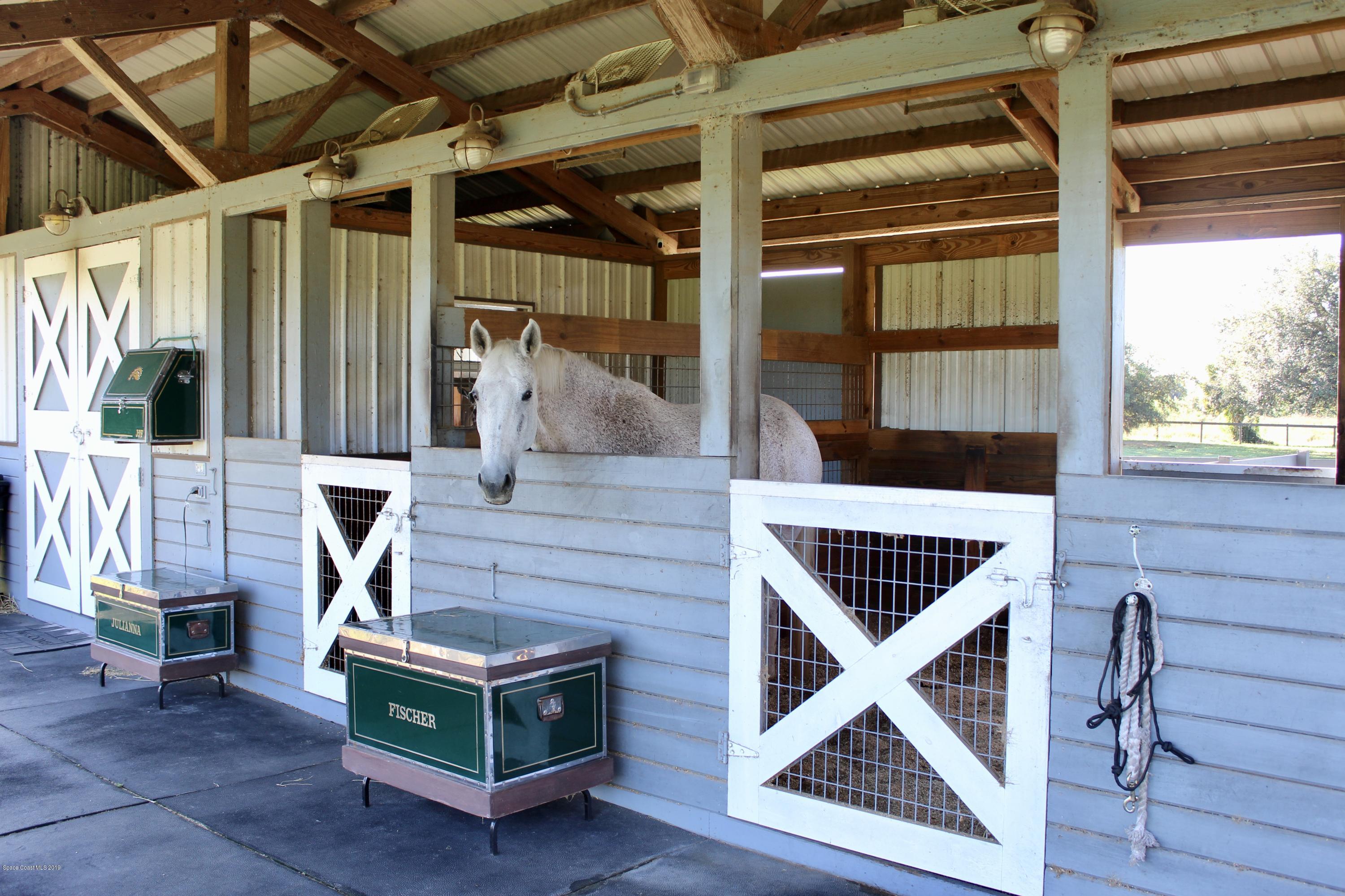 207 Deer Run Road Palm Bay, FL 32909 - Photo 29 of 36 Your Horse Here..