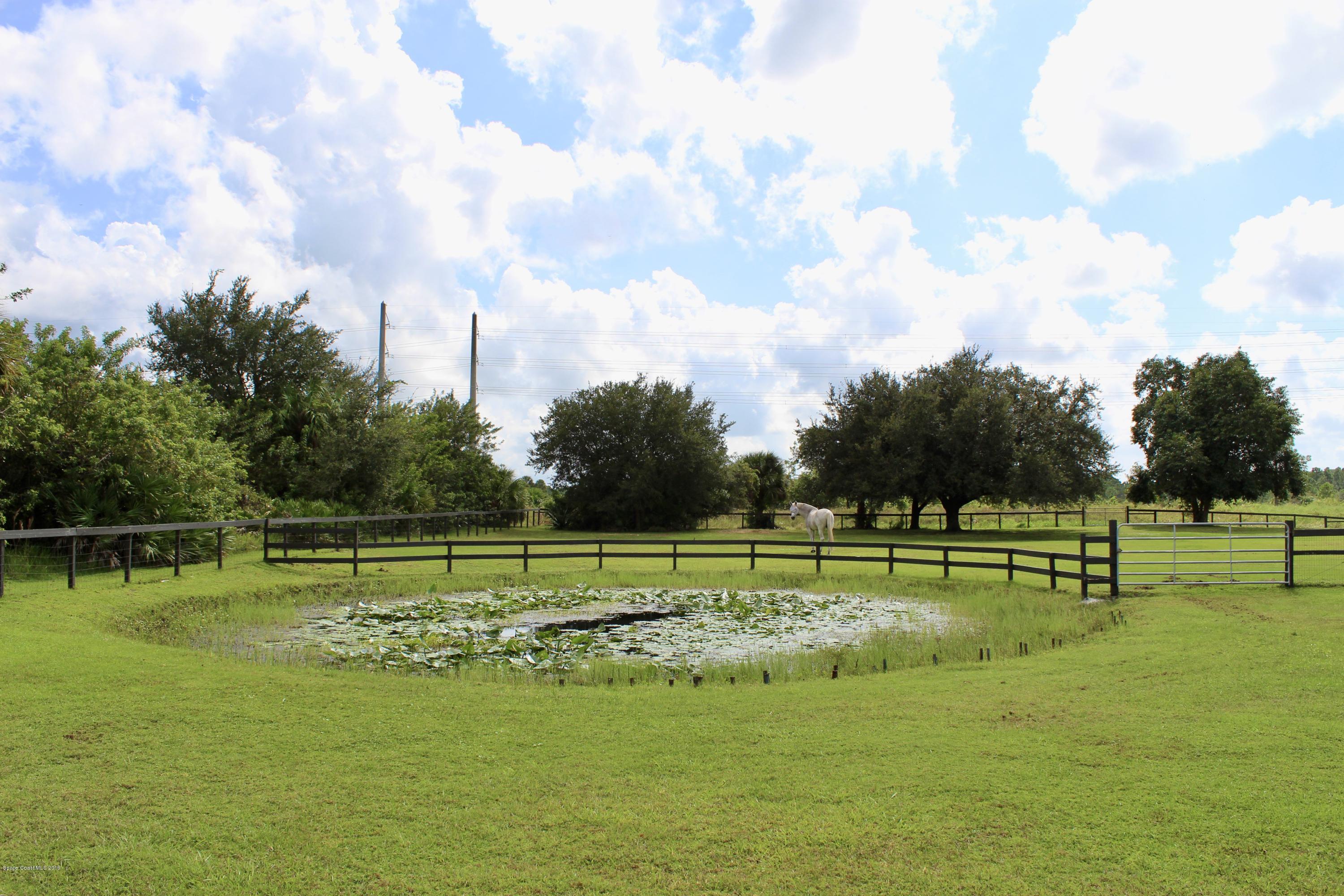 207 Deer Run Road Palm Bay, FL 32909 - Photo 34 of 36 Pond