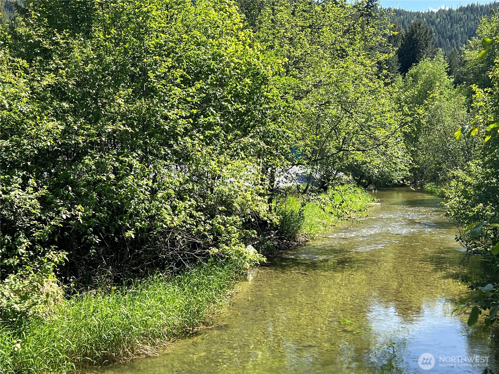 2843 Deep Lake South Shore Road Colville, WA 99114 - Photo 20 of 30