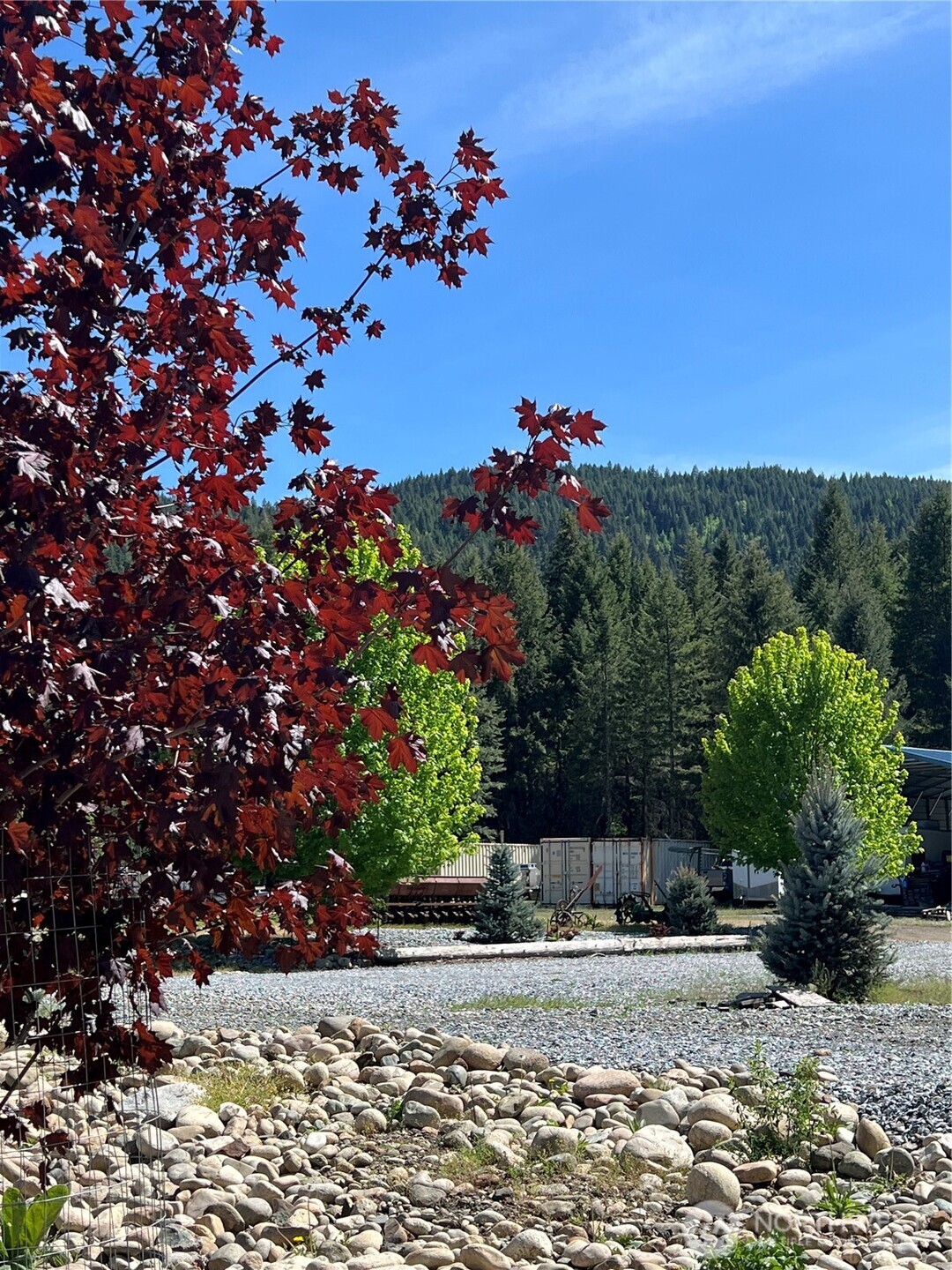 2843 Deep Lake South Shore Road Colville, WA 99114 - Photo 21 of 30