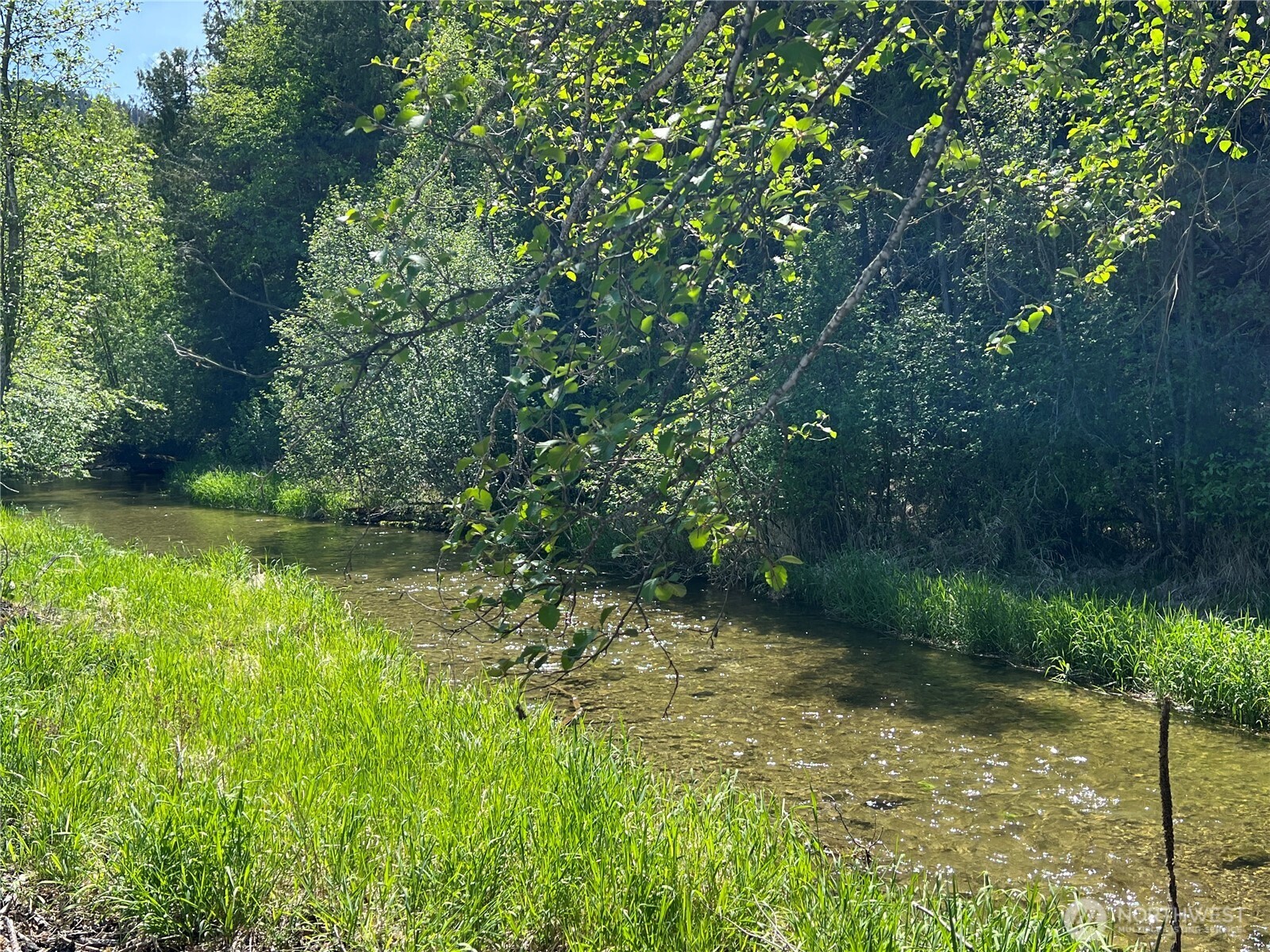 2843 Deep Lake South Shore Road Colville, WA 99114 - Photo 22 of 30