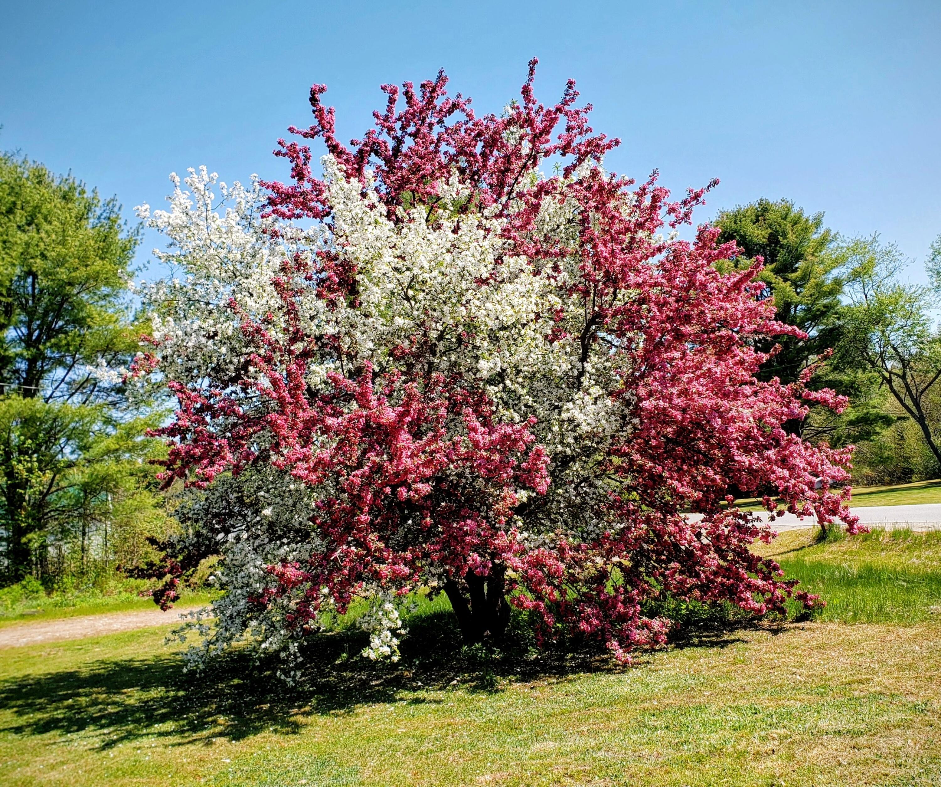 79 Vanner Road Washington, ME 04574 - Photo 22 of 23 1000011049