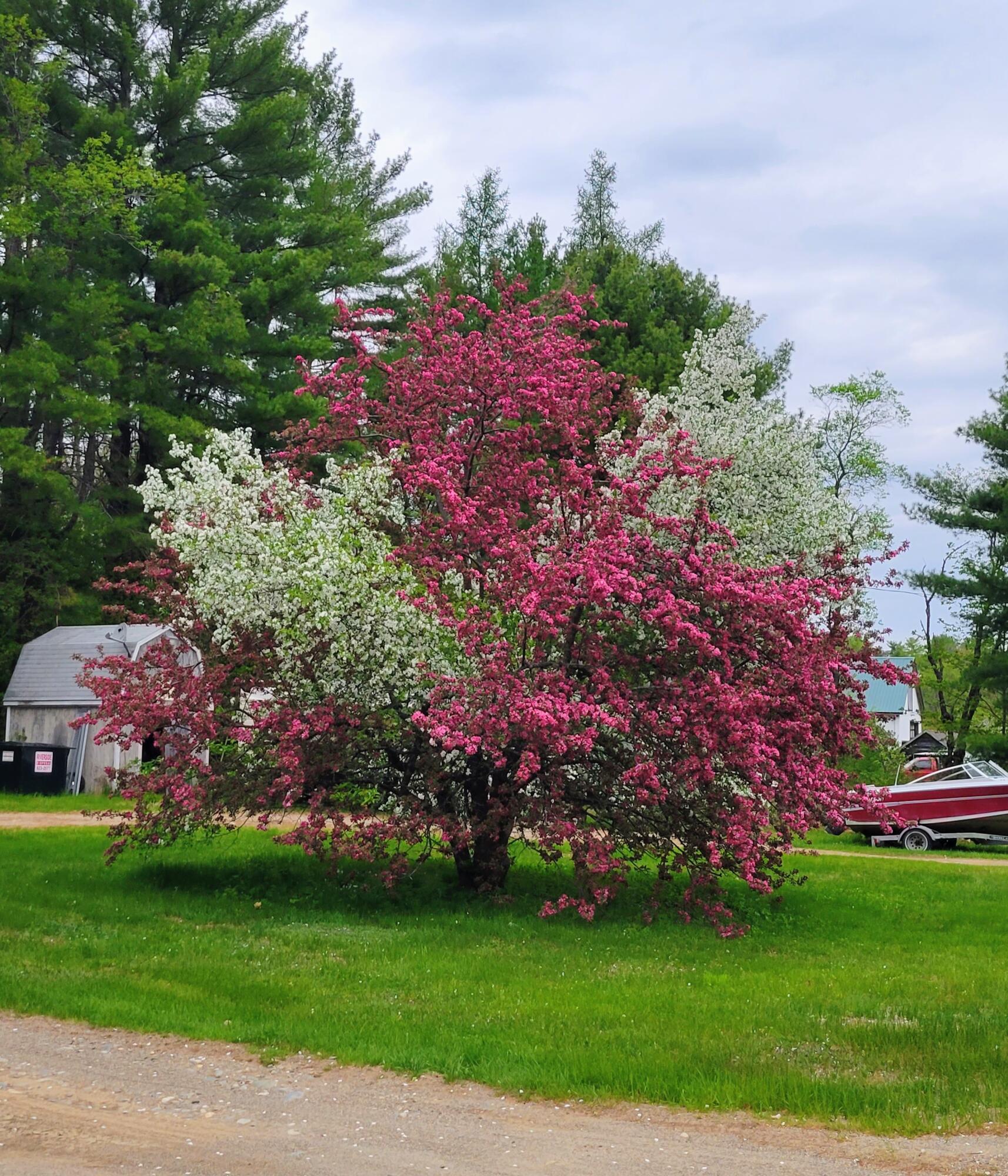79 Vanner Road Washington, ME 04574 - Photo 23 of 23 1000011050