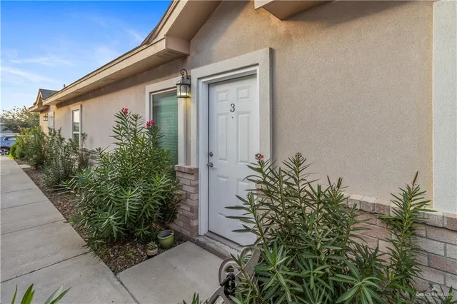 a potted plant is sitting in front of a house