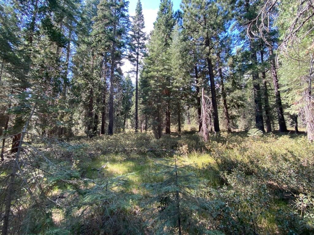 3-i-1 Red Fir Road McCloud, CA 96057 - Photo 1 of 12 Gallery Image 1
