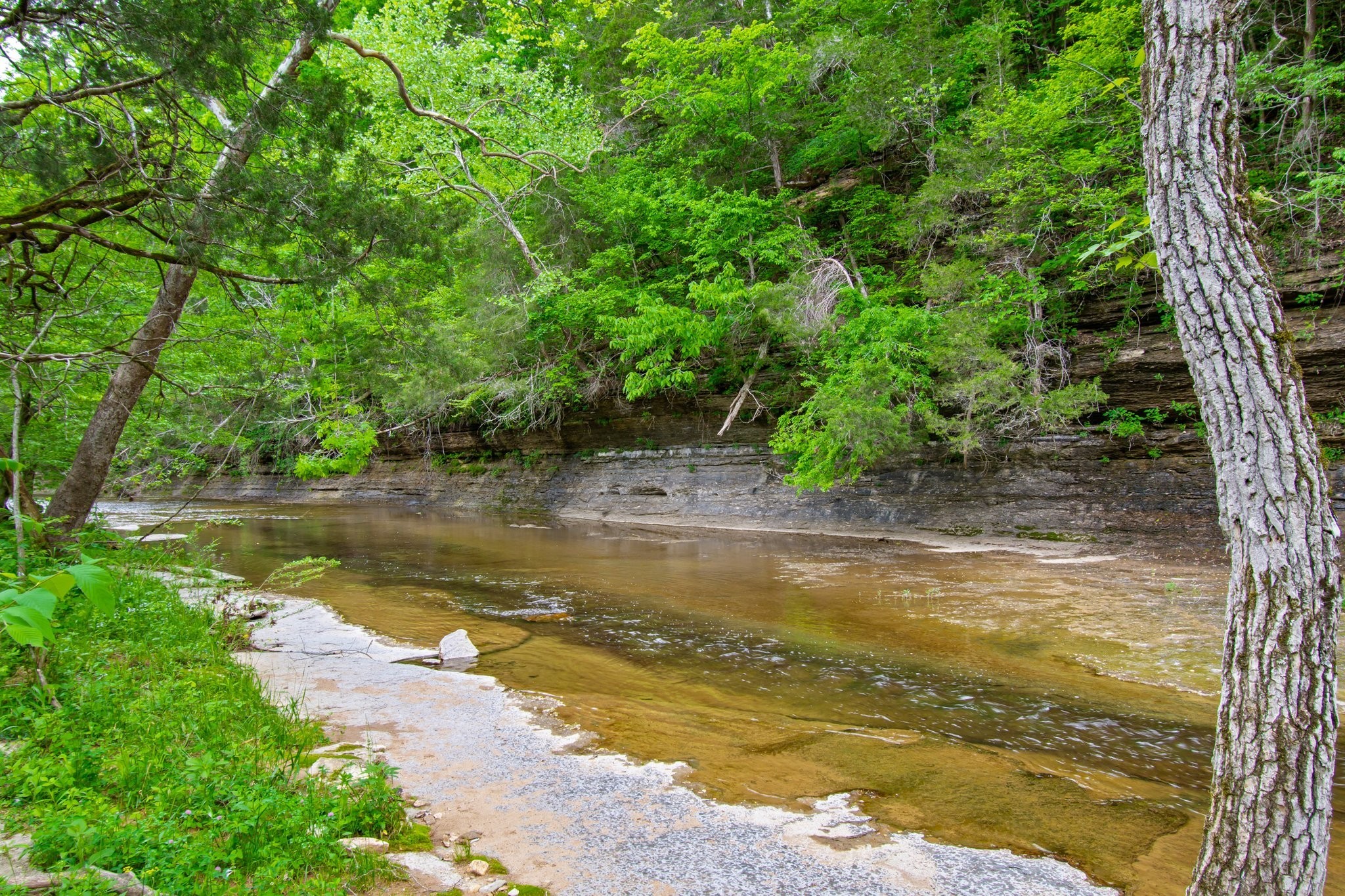7749 Crow Cut Road Northwest Fairview, TN 37062 - Photo 1 of 27