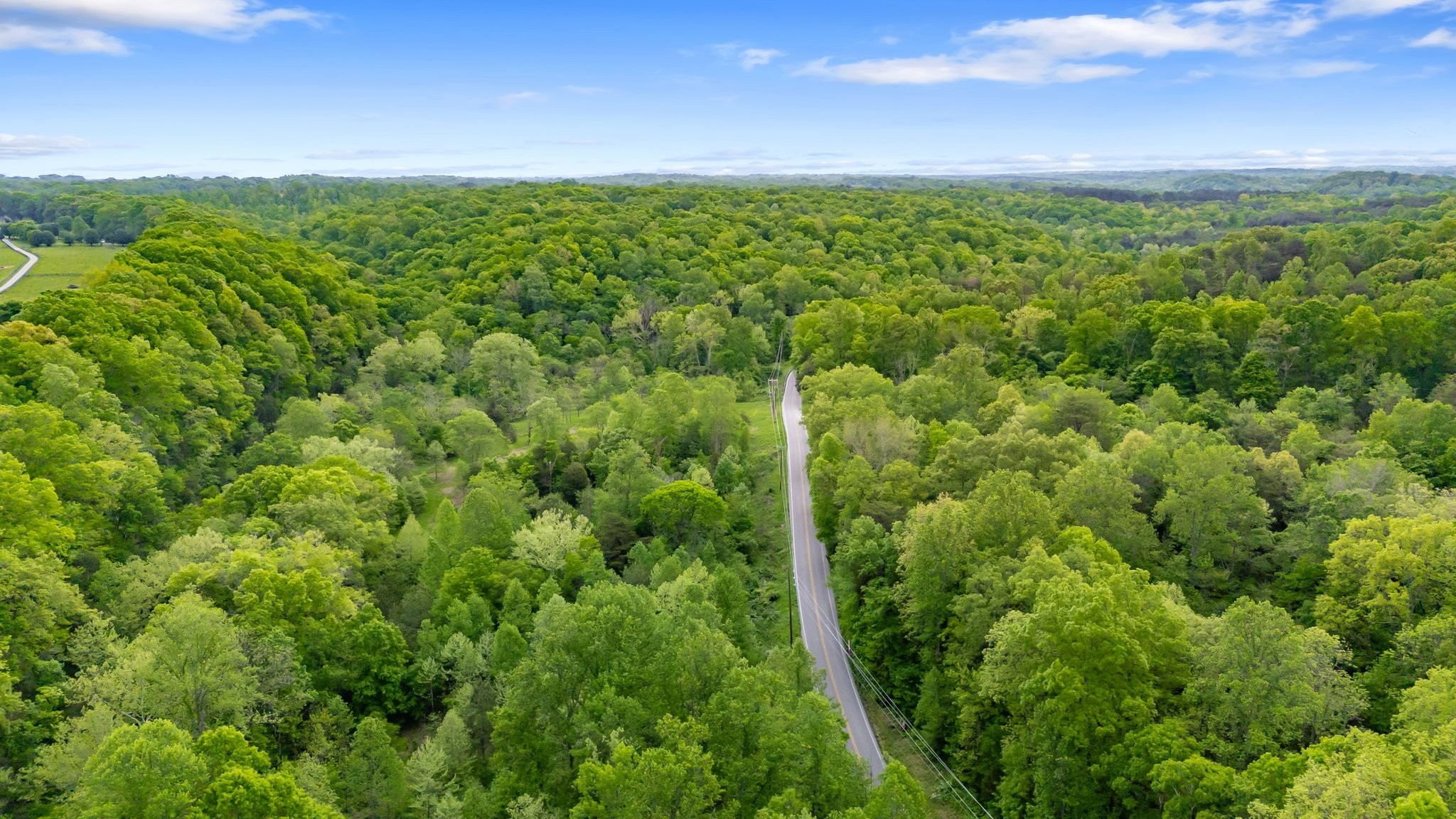 7749 Crow Cut Road Northwest Fairview, TN 37062 - Photo 11 of 27