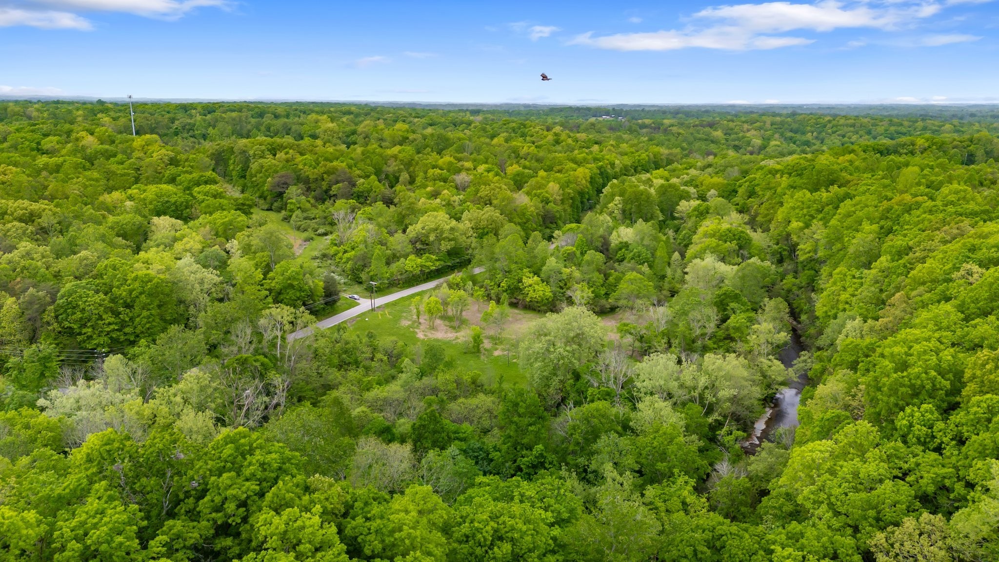 7749 Crow Cut Road Northwest Fairview, TN 37062 - Photo 12 of 27