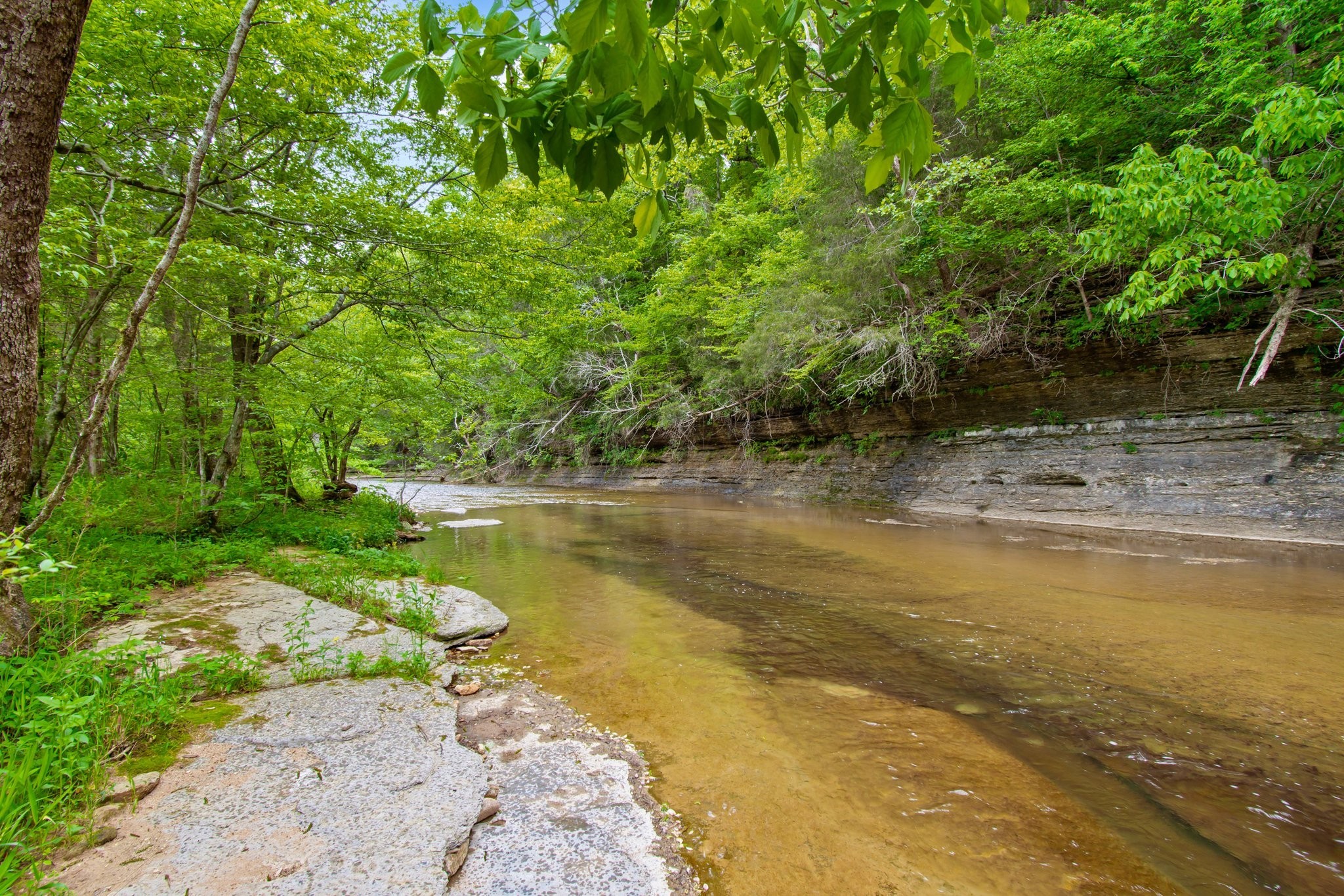 7749 Crow Cut Road Northwest Fairview, TN 37062 - Photo 15 of 27