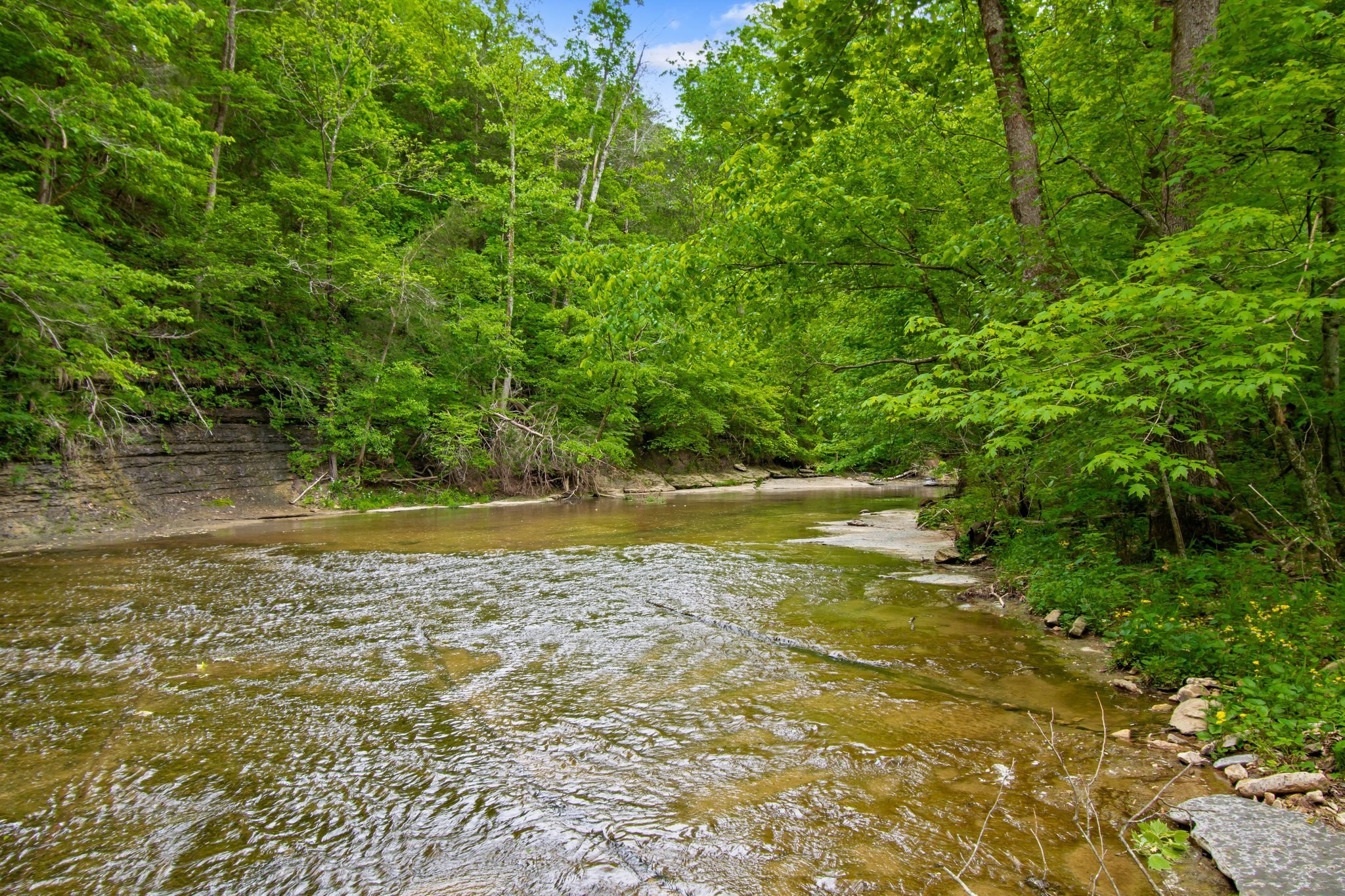 7749 Crow Cut Road Northwest Fairview, TN 37062 - Photo 16 of 27