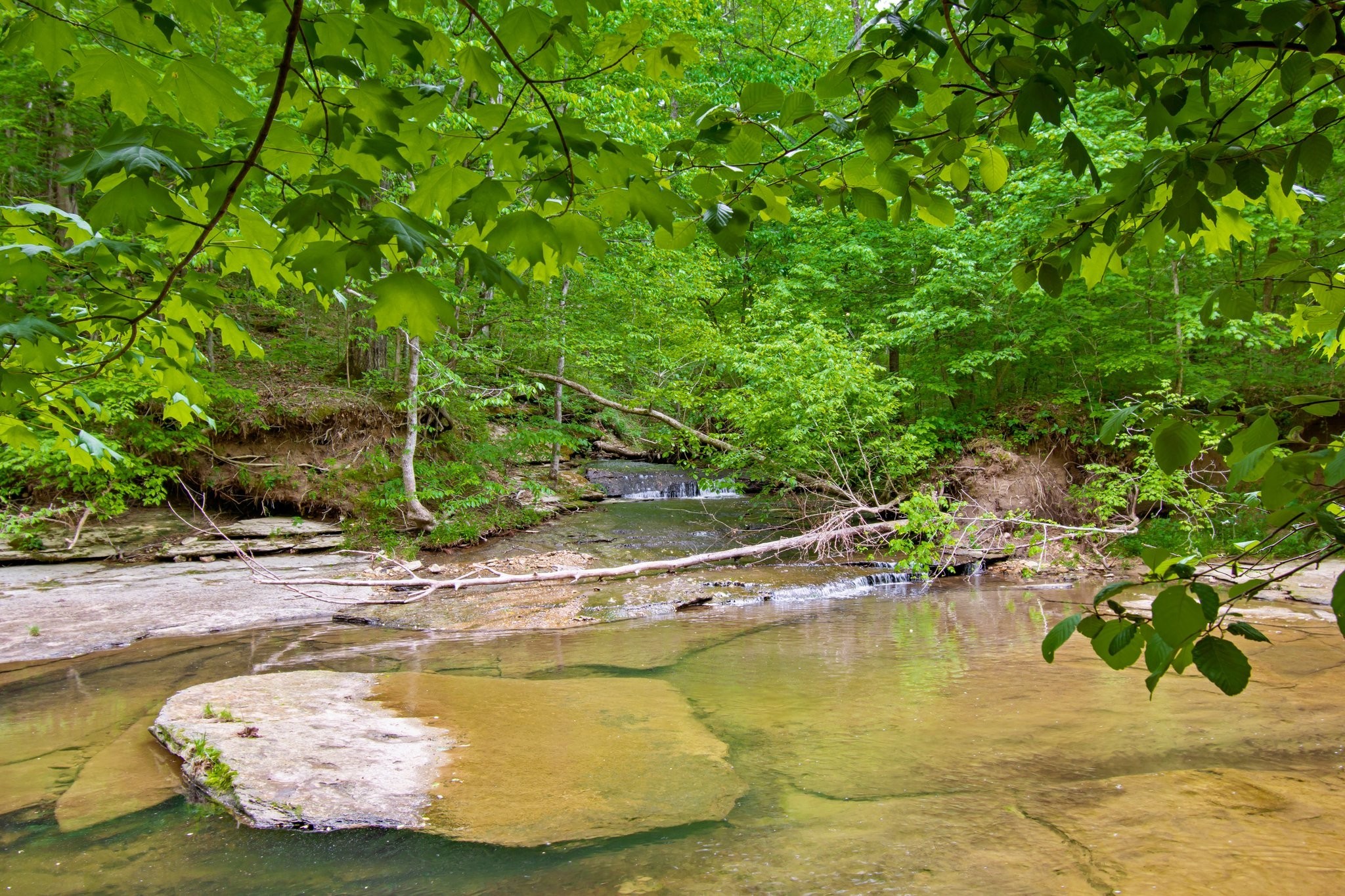 7749 Crow Cut Road Northwest Fairview, TN 37062 - Photo 19 of 27