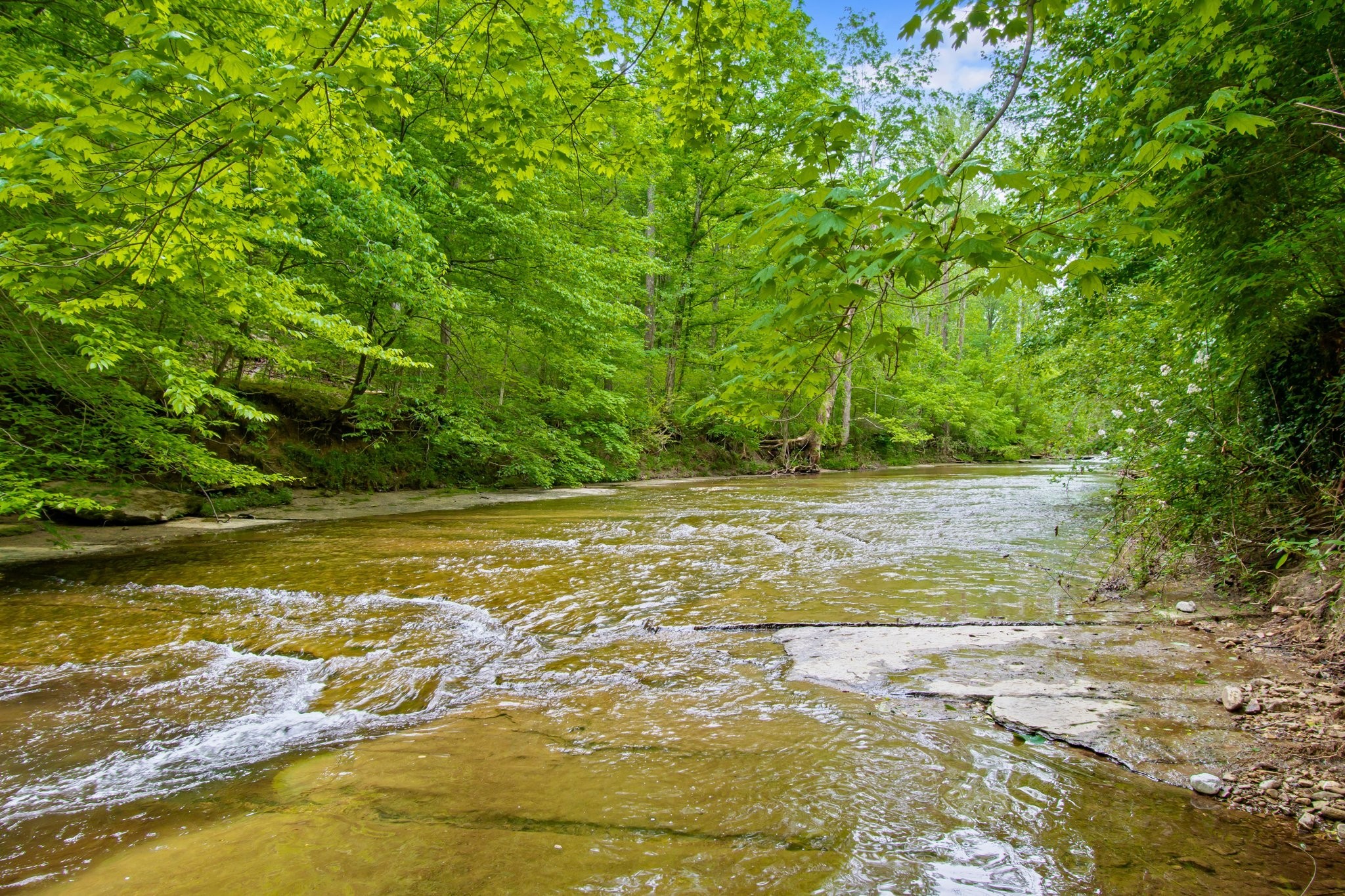 7749 Crow Cut Road Northwest Fairview, TN 37062 - Photo 20 of 27