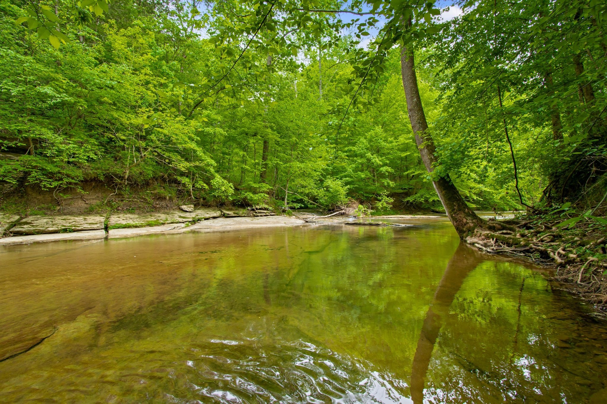 7749 Crow Cut Road Northwest Fairview, TN 37062 - Photo 2 of 27